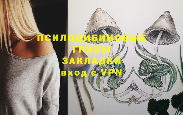 гидропоника Алексин