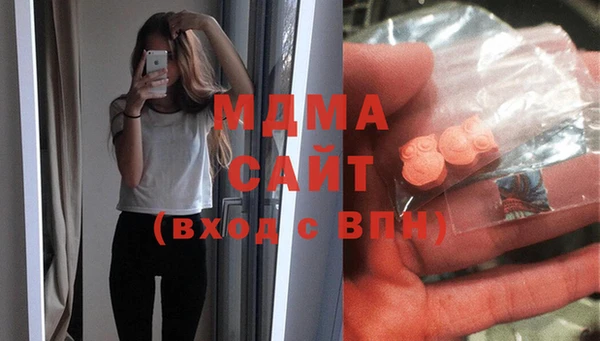 индика Нягань